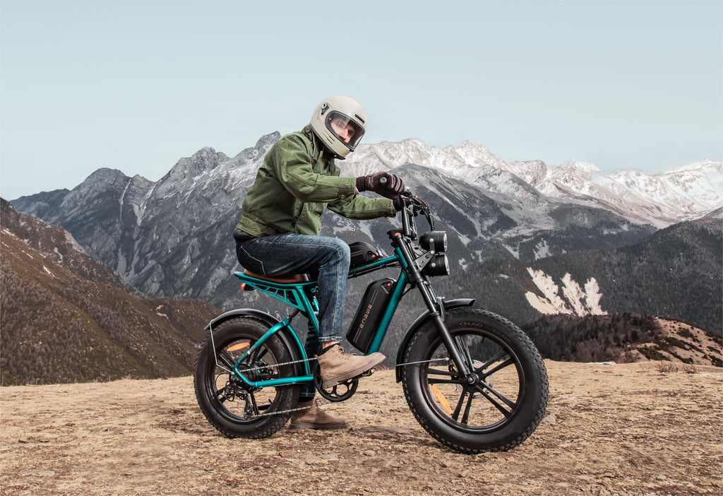ENGWE M20 Dual Batteries and Long Cruising range e-Fat Bike: Recommended by Professional Reviewers