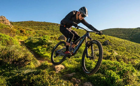 5 Best e Mountain Bike Choices for German Riders Comparing Value and Climbing Support