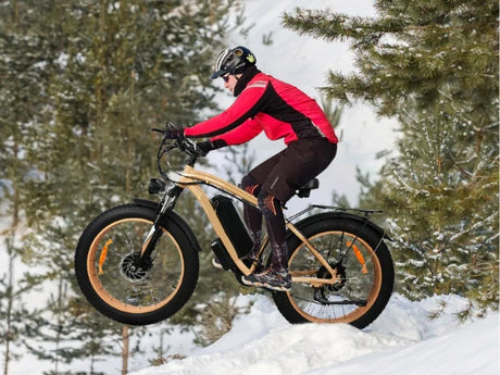 Best Electric Bike in Sweden: 8 Fat Tyre Models for Snow, Sand, and Streets