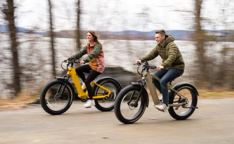 Budget Electric Bike vs Premium E-Bike - What Do You Really Lose Today