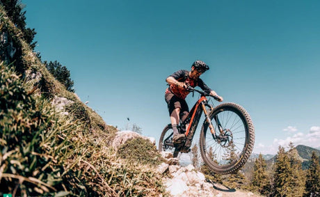 Which e Mountain Bike Type Fits Germany Better - Hardtail, Fully or Trekking MTB