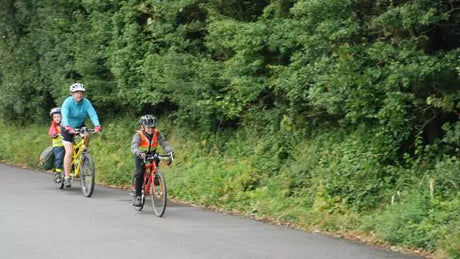 A Guide to Finding Your Best Fat Tire Electric Mountain Bike