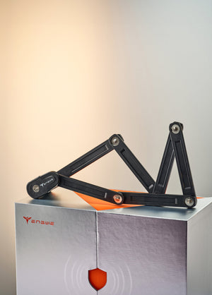 Geschenkdoos voor 12-jarig jubileum (gratis geschenk bij aankoop van een e-bike)