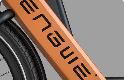 Bicicleta electrica ENGWE P275 Pro 22 4 6b428e84 5c01 4d6e 9de0 8786aaebcb55