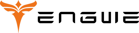ENGWE EU Official logo